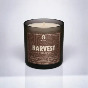 ALKIDO HARVEST Cinnamon Soy Wax Candle – Fall exclusive eco-friendly candle made in Canada, warm cinnamon scent, 8 oz.