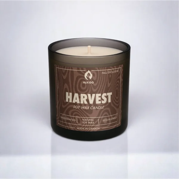 ALKIDO HARVEST Cinnamon Soy Wax Candle – Fall exclusive eco-friendly candle made in Canada, warm cinnamon scent, 8 oz.